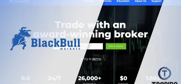 BlackBull Markets Broker Review