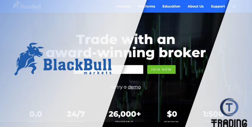 BlackBull Markets Broker Review