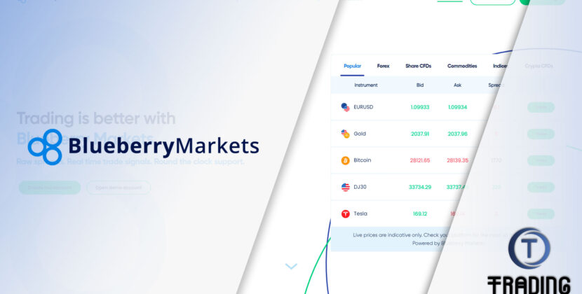 BLUEBERRY MARKETS Broker Review