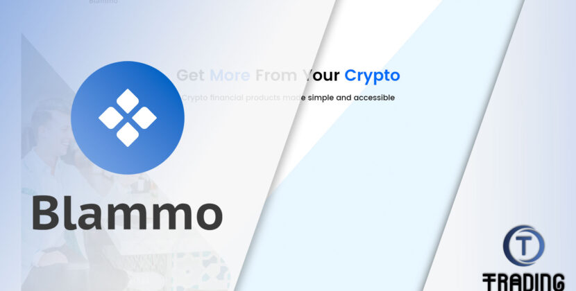 Blammo Broker Review