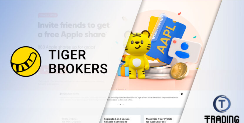 Tiger Broker Review