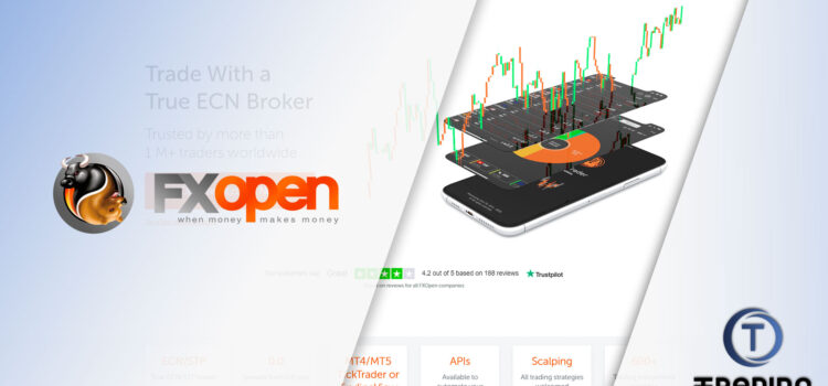 FXOpen Broker Review