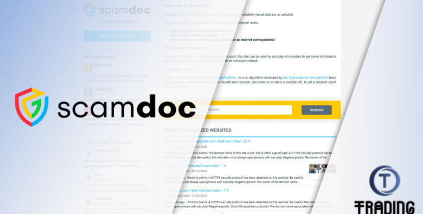 The Controversial Impact of ScamDoc on Digital Trust