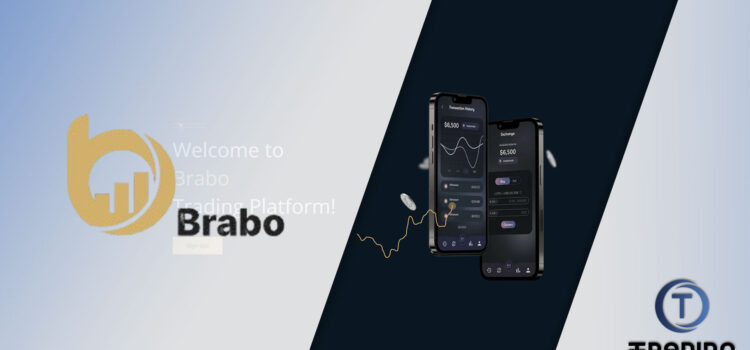 Brabo Broker Review