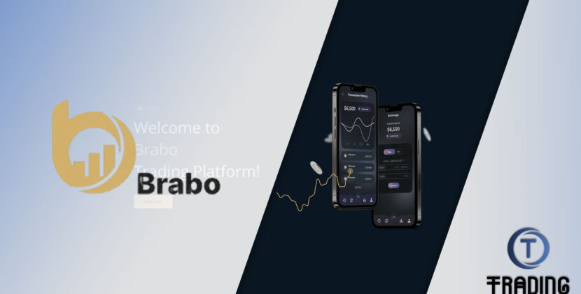 Brabo Broker Review