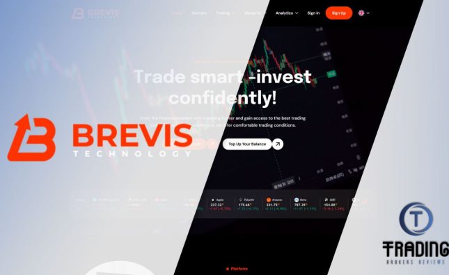 Brevis Technology Review 2025