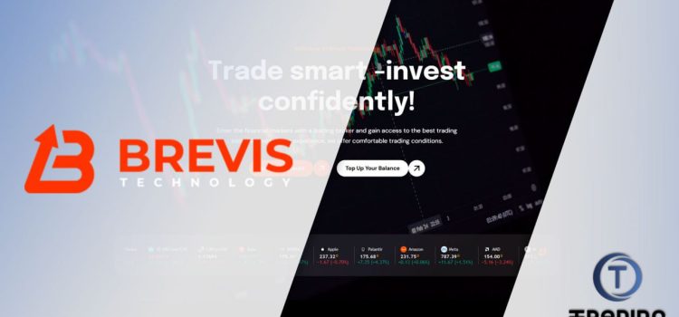 Brevis Technology Review 2025