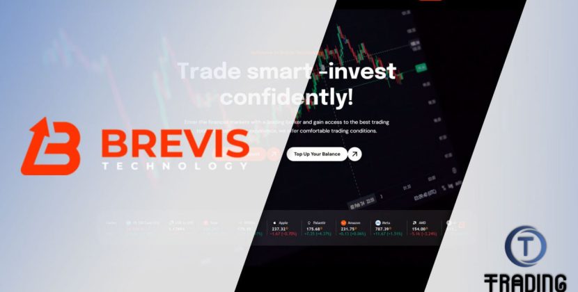 Brevis Technology Review 2025