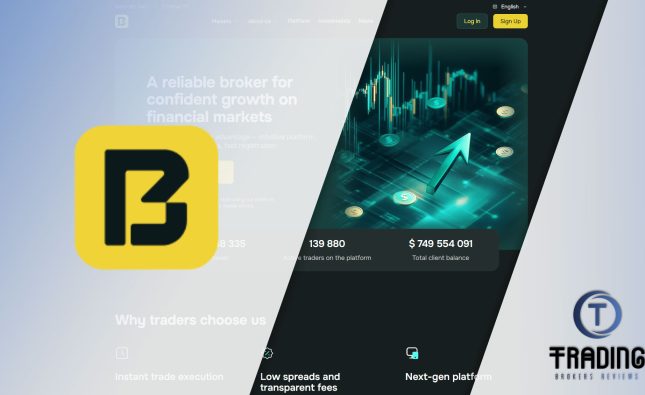 Bigarizonaco Broker Review