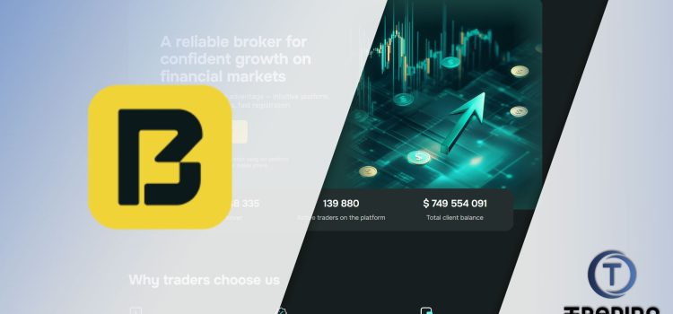 Bigarizonaco Broker Review