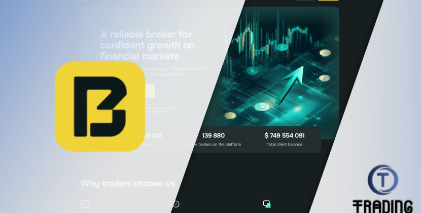 Bigarizonaco Broker Review