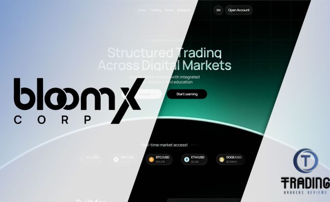 BloomX Corp Review
