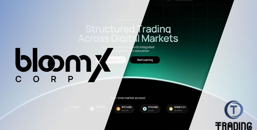 BloomX Corp Review
