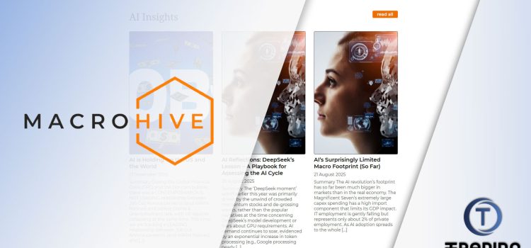 Macro Hive Review