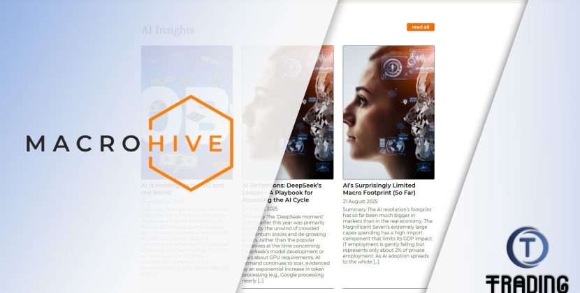 Macro Hive Review