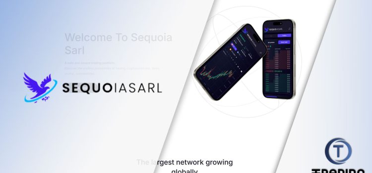 Sequoia Sarl Review