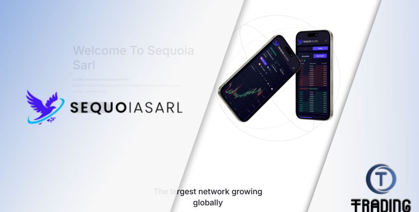 Sequoia Sarl Review