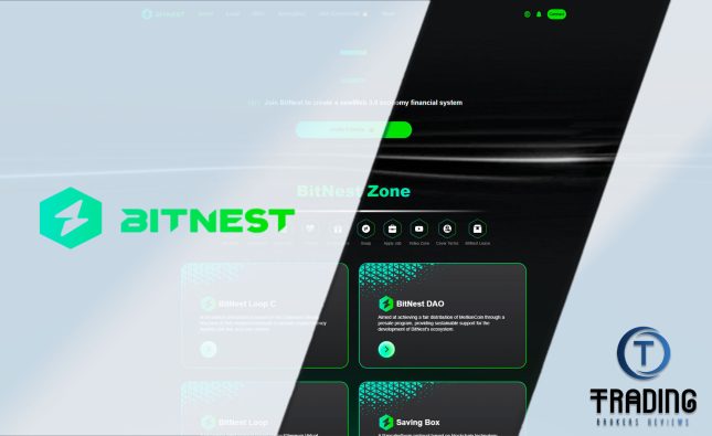 BitNest Review