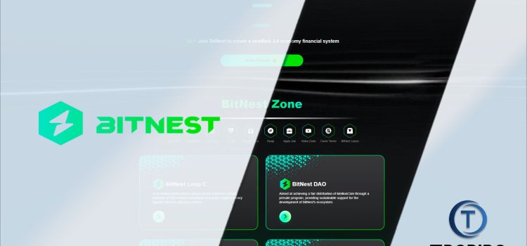 BitNest Review