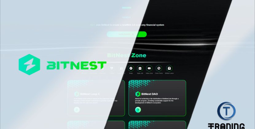 BitNest Review